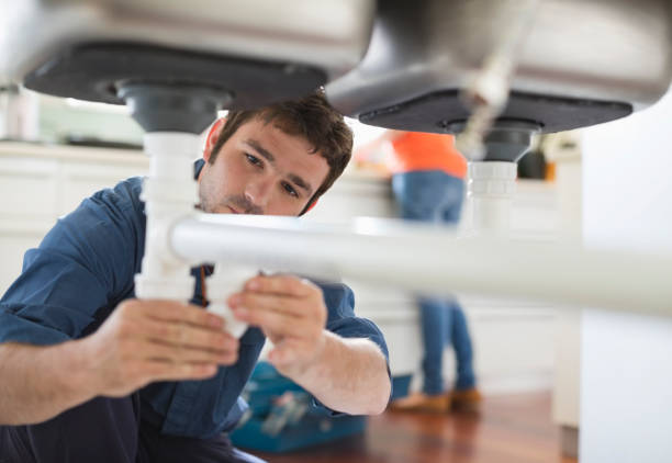 Best Clogged Drain Plumber  in Hollywood, FL